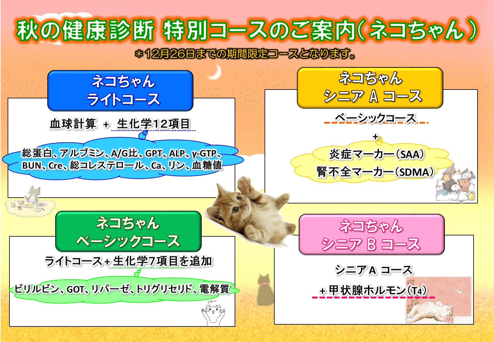秋の健康診断キャンペーンのお知らせ 尼崎の動物病院アニマルプラス