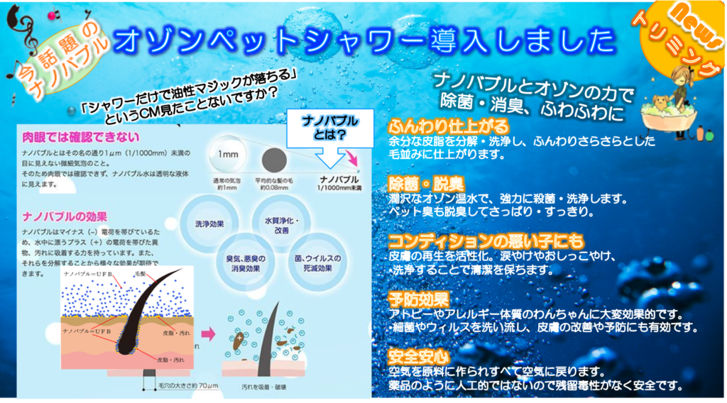 オゾンペットシャワーを導入しました | 尼崎の動物病院アニマルプラス 