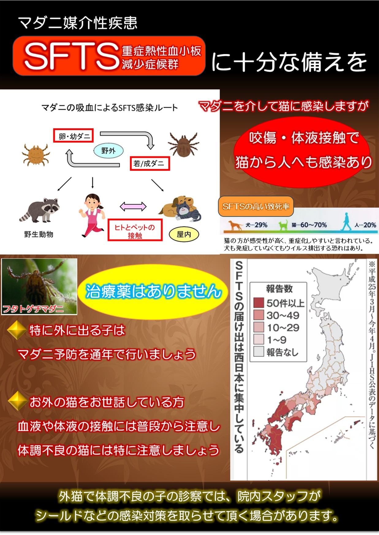注意喚起】重症熱性血小板減少症候群（SFTS）とは | 尼崎の動物病院