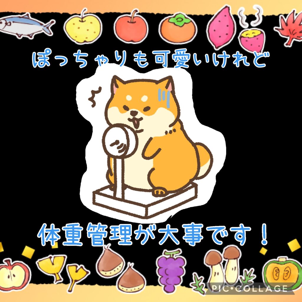 食欲UPで体重UP